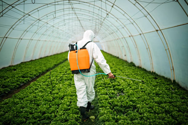 Best Affordable Pest Control Services  in Bay Harbor Islands, FL